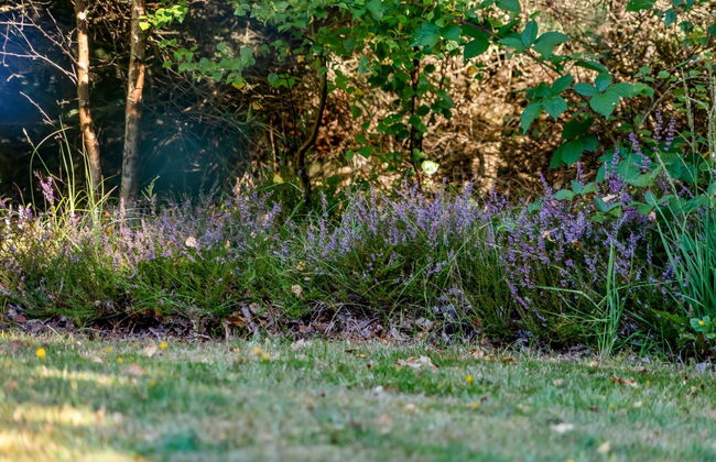 "Barne" - 4km from the sea - Foto 9