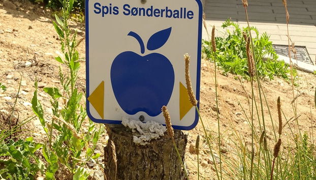 Haus mit 1 Schlafzimmer in Rødekro mit terrasse - Foto 5