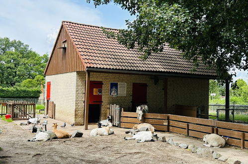 Photo 33 - Maison de 3 chambres à Winssen avec piscine et jardin