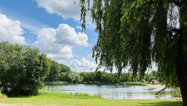 Haus mit 3 Schlafzimmern in Winssen mit schwimmbad und garten - Foto 3