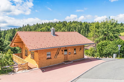 Foto 2 - Haus mit 1 Schlafzimmer in Spiegelau mit schwimmbad und garten