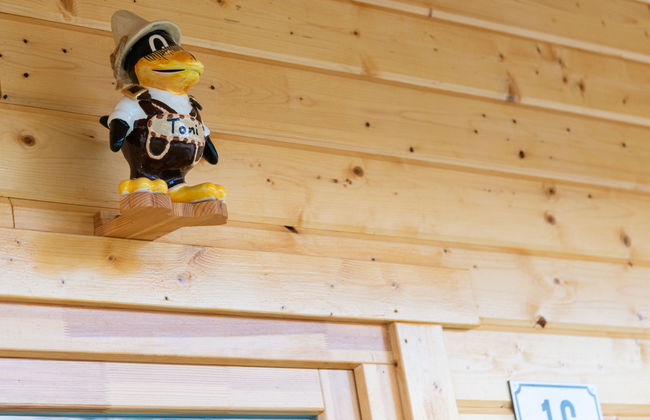 Casa de 2 quartos em Spiegelau com piscina e jardim - Foto 31