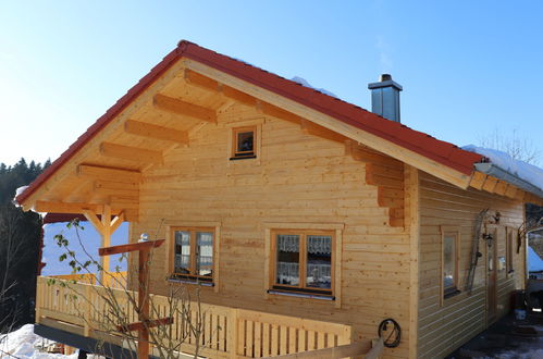 Foto 37 - Haus mit 1 Schlafzimmer in Spiegelau mit schwimmbad und blick auf die berge