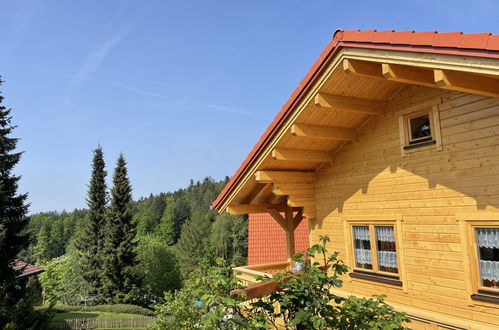 Foto 1 - Casa de 1 quarto em Spiegelau com piscina e vista para a montanha