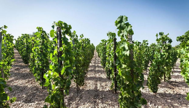 Country House Villadorata - Foto 3