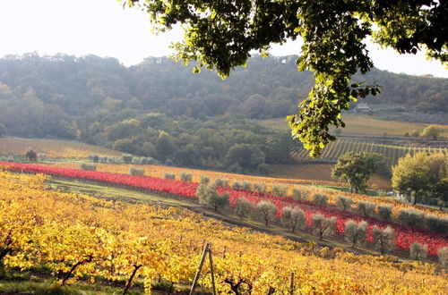 Photo 17 - Altarocca Wine Resort