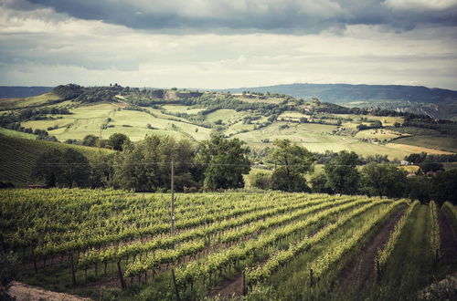 Photo 15 - Altarocca Wine Resort