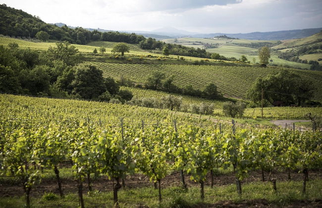 Altarocca Wine Resort - Foto 16