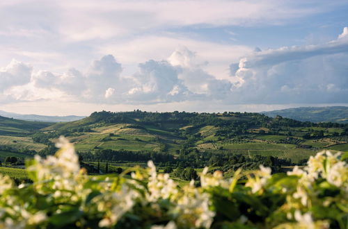 Photo 21 - Altarocca Wine Resort