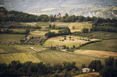 Photo 18 - Altarocca Wine Resort