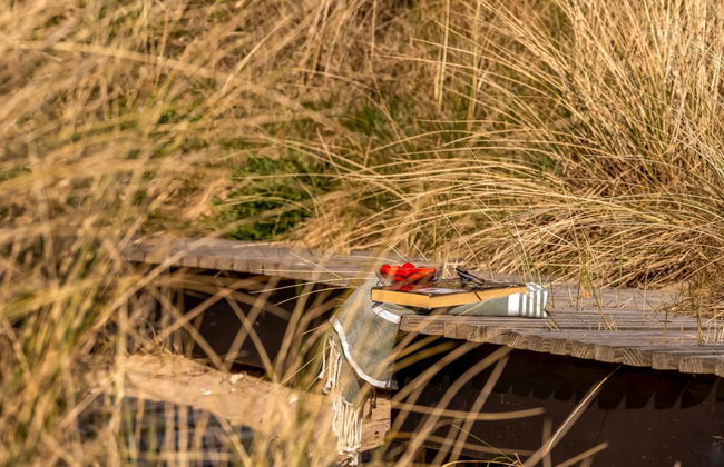 "Ginne" - 125m from the sea - Foto 14