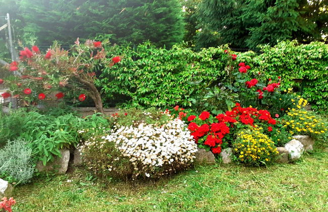 Apartamento de 1 quarto em Massa Lubrense com jardim e terraço - Foto 18