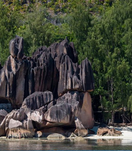 Foto - Crociera alle isole Cousin, Curieuse e St. Pierre con pranzo - Da Praslin