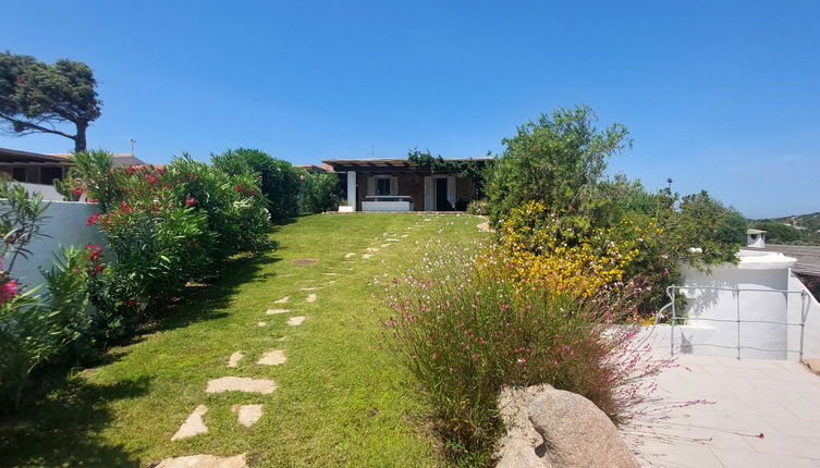 Foto 1 - Casa de 3 quartos em Santa Teresa Gallura com piscina privada e vistas do mar