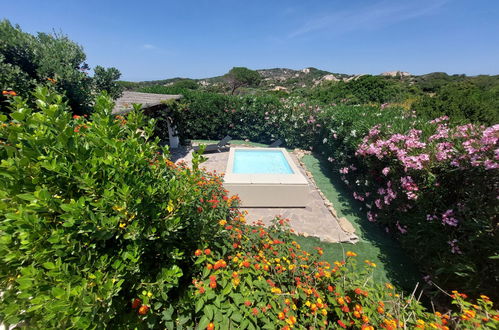 Foto 35 - Casa de 3 habitaciones en Santa Teresa Gallura con piscina privada y vistas al mar