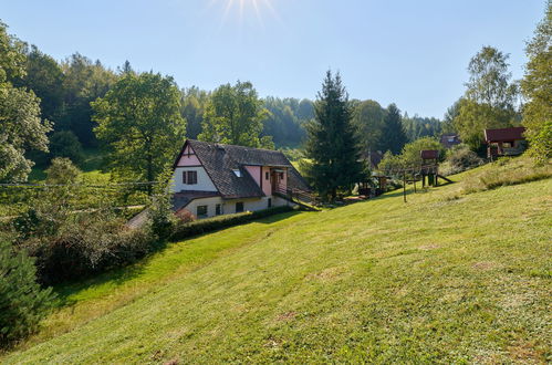 Foto 45 - Apartment mit 2 Schlafzimmern in Stárkov mit schwimmbad und garten