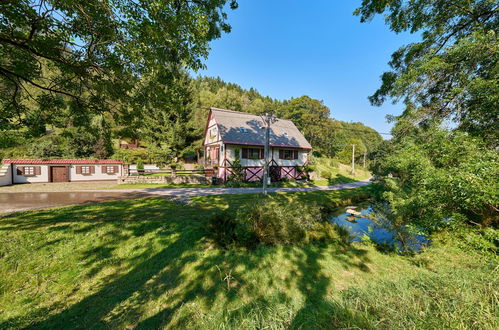 Foto 48 - Apartment mit 2 Schlafzimmern in Stárkov mit schwimmbad und garten