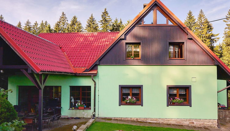 Foto 1 - Casa con 6 camere da letto a Smržovka con piscina privata e giardino