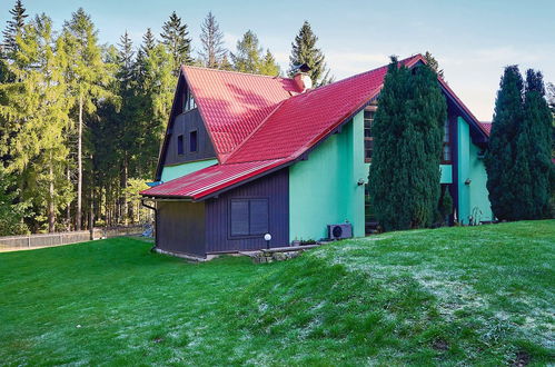 Foto 39 - Casa con 6 camere da letto a Smržovka con piscina privata e giardino