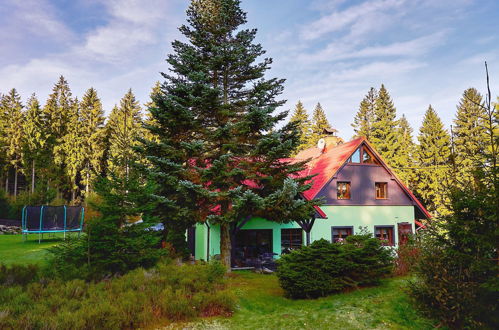 Foto 42 - Casa de 6 quartos em Smržovka com piscina privada e jardim