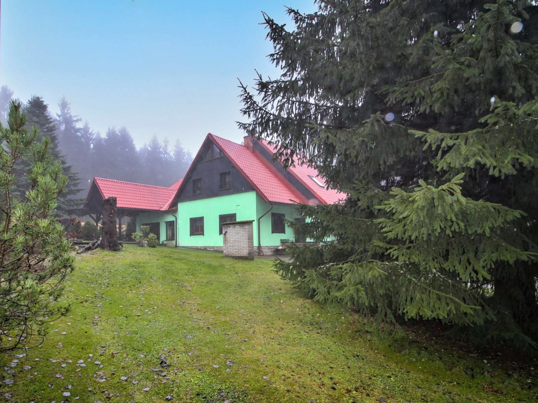 Foto 45 - Casa con 6 camere da letto a Smržovka con piscina privata e giardino