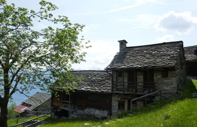 Casa de 1 quarto em Serravalle com jardim e terraço - Foto 21