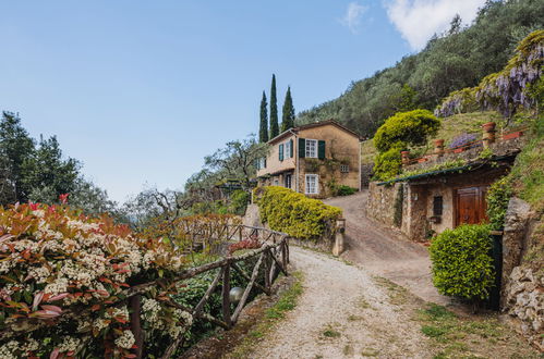 Foto 22 - Casa de 2 quartos em Camaiore com jardim e terraço