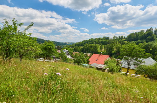 Foto 28 - Haus mit 7 Schlafzimmern in Svoboda nad Úpou