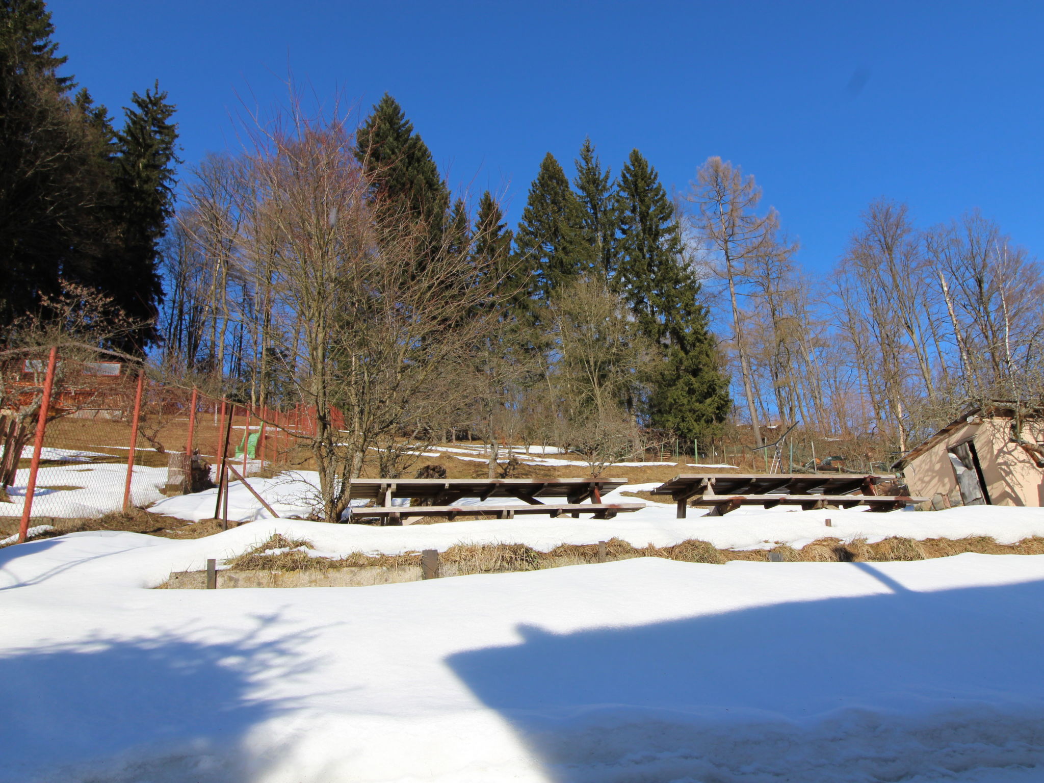 Foto 42 - Haus mit 7 Schlafzimmern in Svoboda nad Úpou mit garten