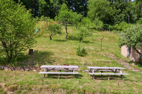 Foto 30 - Casa con 7 camere da letto a Svoboda nad Úpou con giardino