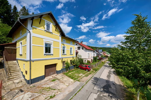 Foto 31 - Haus mit 7 Schlafzimmern in Svoboda nad Úpou mit garten