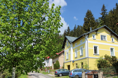 Foto 36 - Haus mit 7 Schlafzimmern in Svoboda nad Úpou mit garten