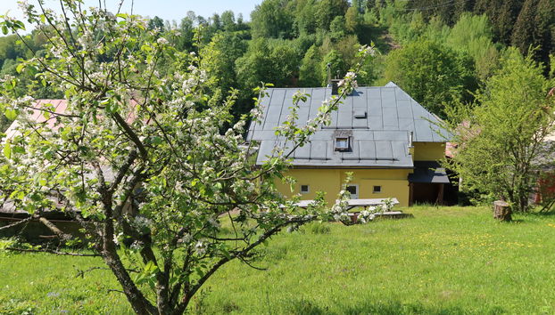 Haus mit 7 Schlafzimmern in Svoboda nad Úpou mit garten - Foto 2