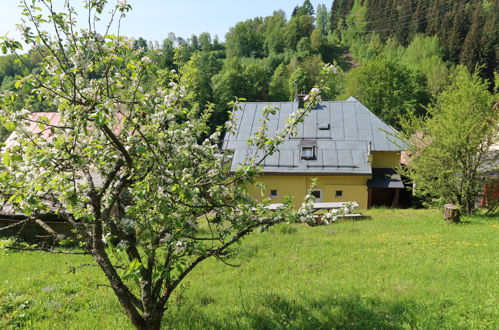 Photo 5 - 7 bedroom House in Svoboda nad Úpou with garden