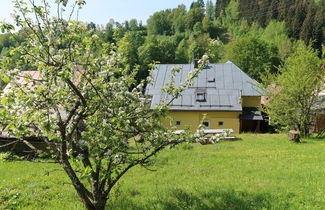 Photo 2 - 7 bedroom House in Svoboda nad Úpou with garden