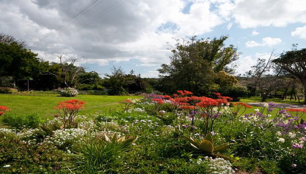 Leeuwenbosch Country House - Foto 3