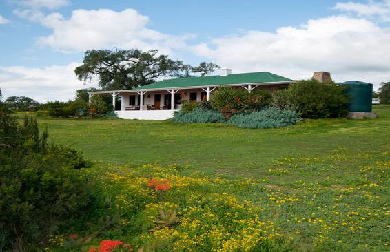 Leeuwenbosch Country House - Foto 8