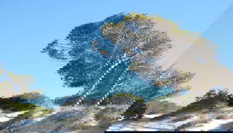 Gardenia Casa Vacanze - Foto 1