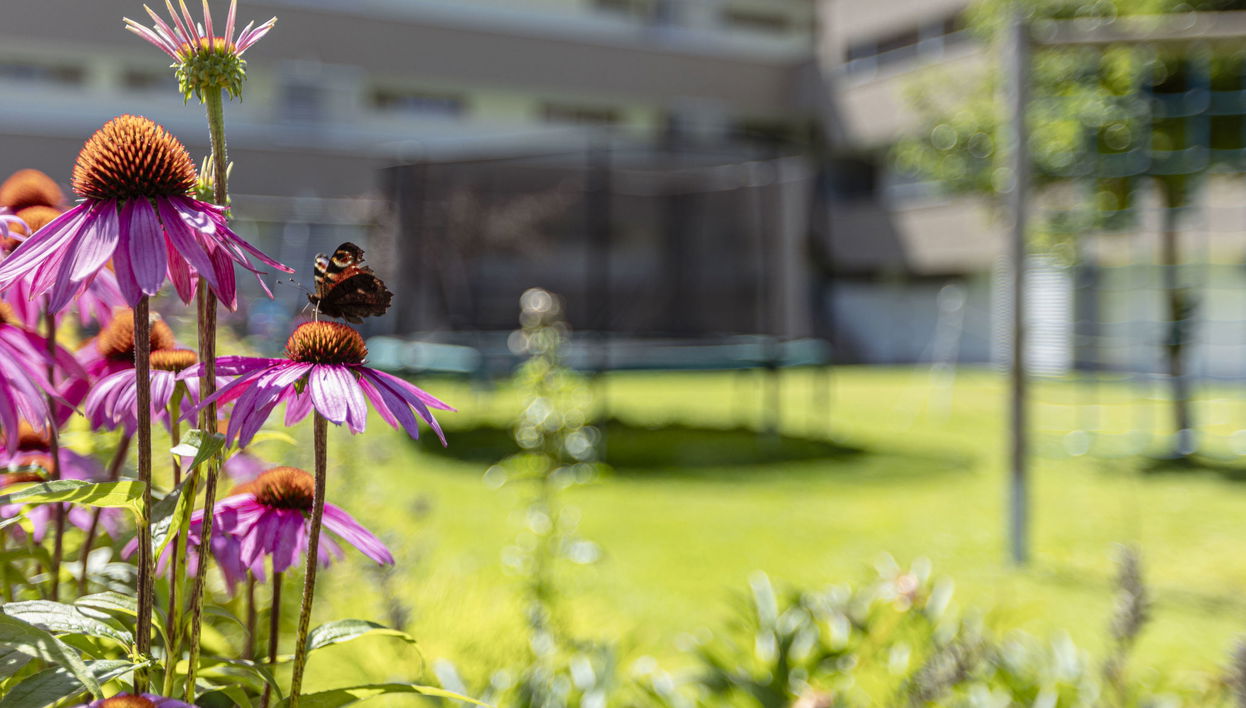 Apartamento de 2 quartos em Radstadt com piscina e jardim - Foto 1