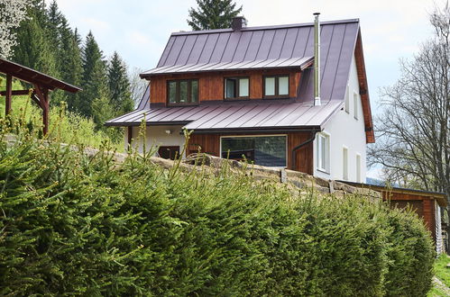 Photo 21 - Maison de 3 chambres à Tanvald avec jardin et terrasse