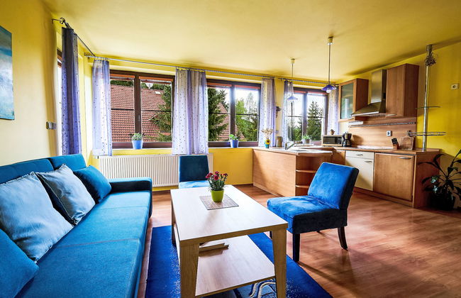 Apartamento de 2 quartos em Harrachov com jardim - Foto 9
