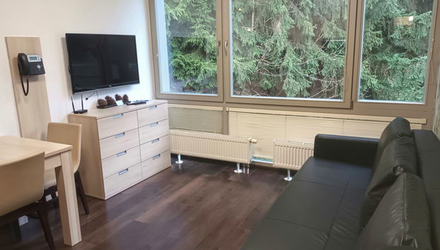 Apartment mit 2 Schlafzimmern in Harrachov - Foto 2