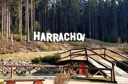 Foto 20 - Appartamento con 1 camera da letto a Harrachov