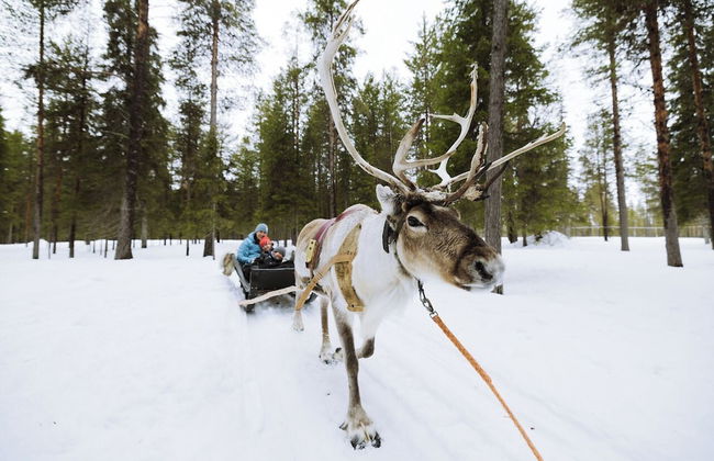 Levi Suites Unna Mànnu - Foto 44