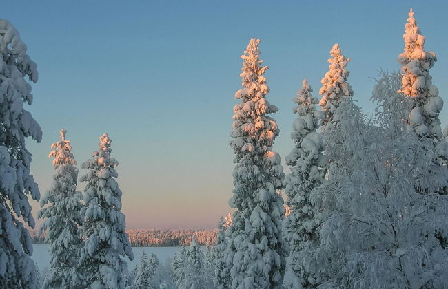 Haus mit 3 Schlafzimmern in Kuusamo mit sauna - Foto 36