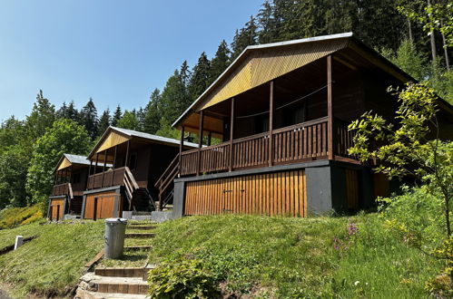 Photo 20 - Maison en Mladé Buky avec piscine et jardin