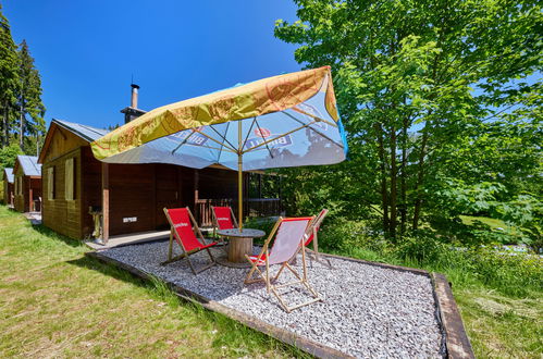 Photo 13 - House in Mladé Buky with swimming pool and garden