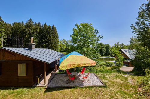 Photo 11 - House in Mladé Buky with swimming pool and garden