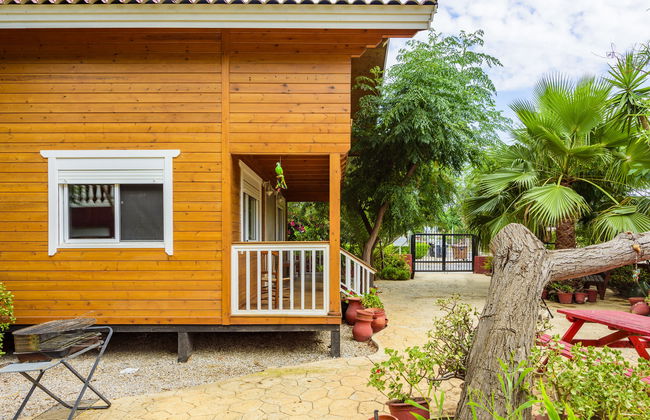 Casa de 3 quartos em Burriana com piscina e jardim - Foto 22