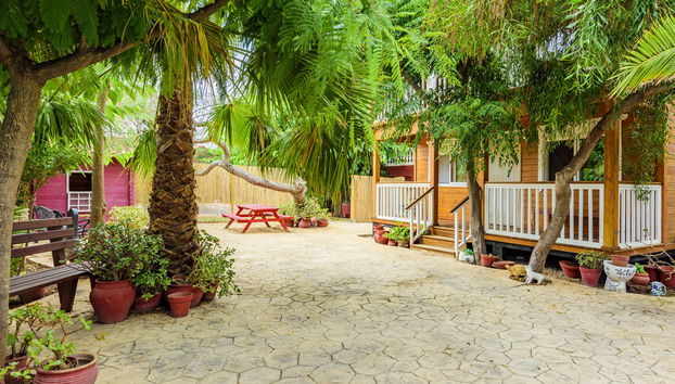Haus mit 3 Schlafzimmern in Burriana mit schwimmbad und garten - Foto 5